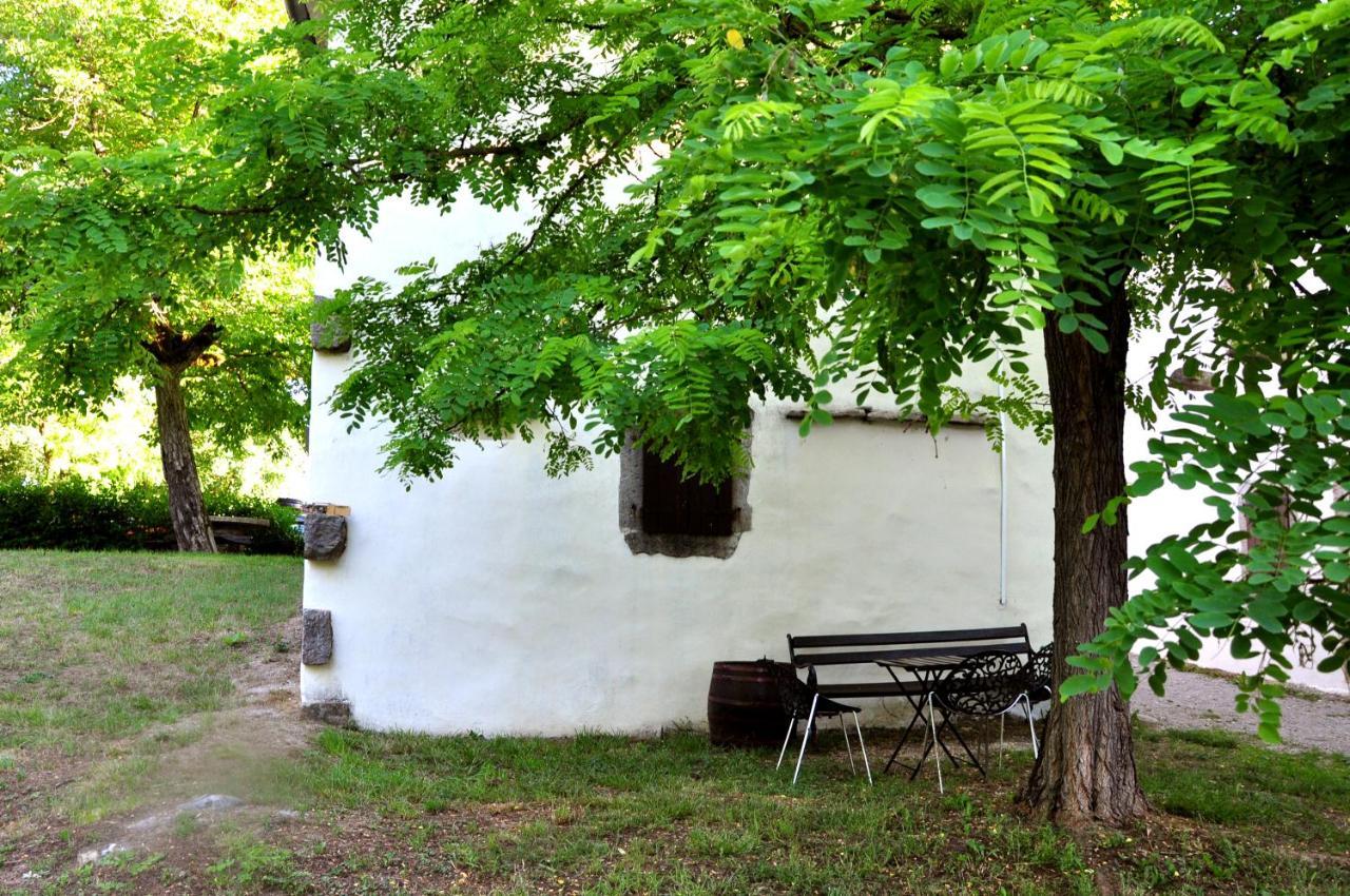 Traditional Stone House Kotli Buzet Esterno foto